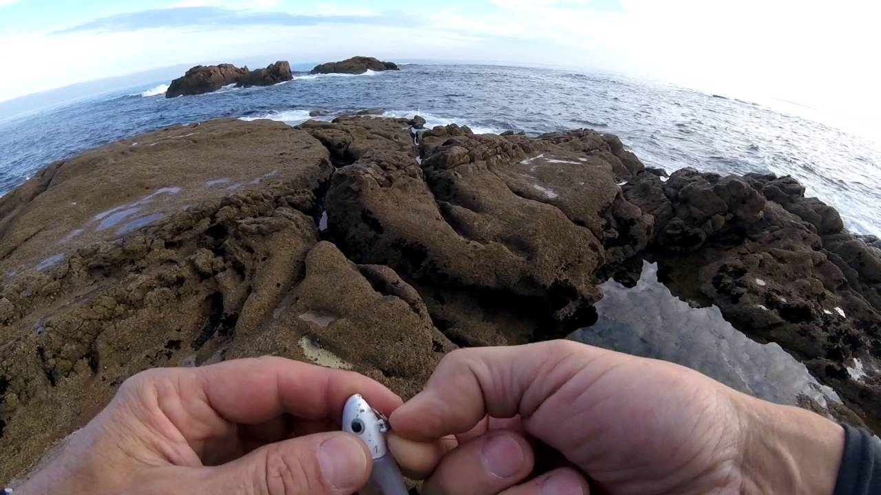 Robalizas y zarretas con Real Sas&aacute;n 30 gr