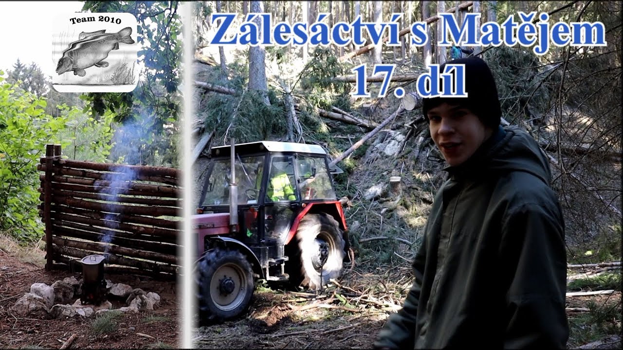 Zálesáctví s Matějem - ŽIVOT V LESE, když se kácí les