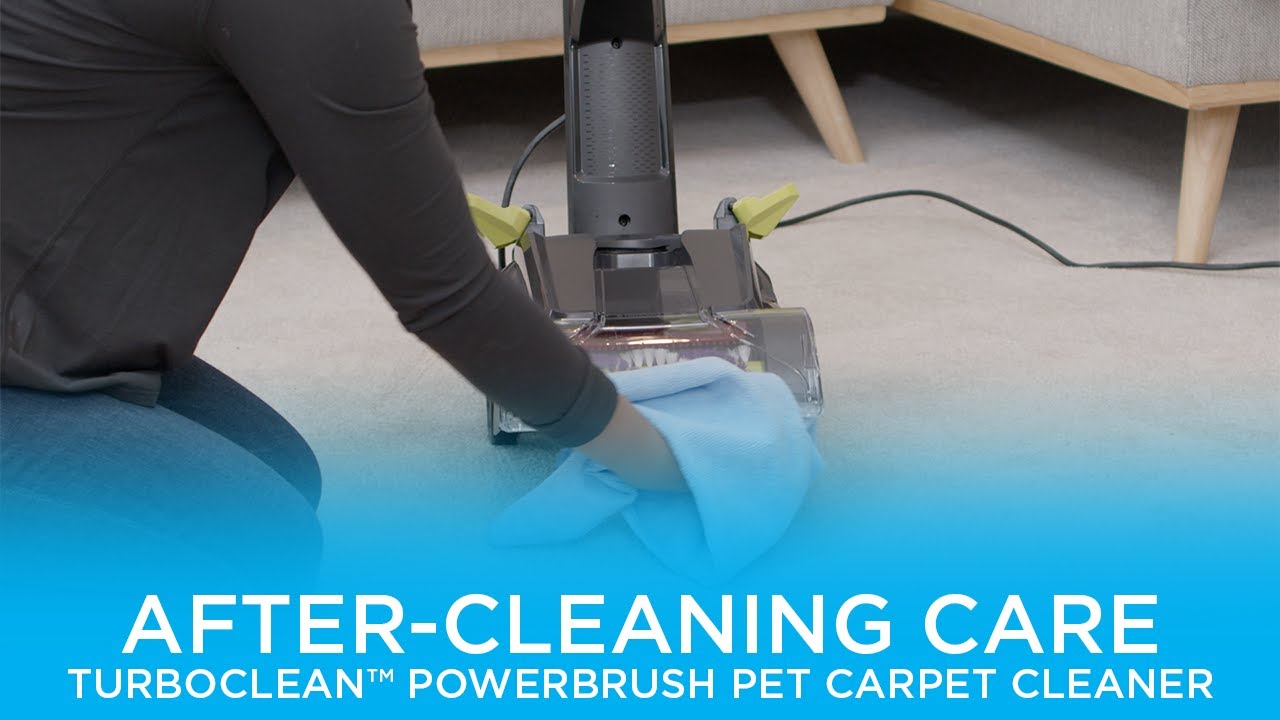 After Cleaning | TurboClean™ PowerBrush Pet Carpet Cleaner