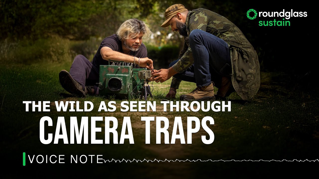 Behind the Lens: Wild Experiments ft. Shivang Mehta| Camera Trapping | @RoundglassSustain