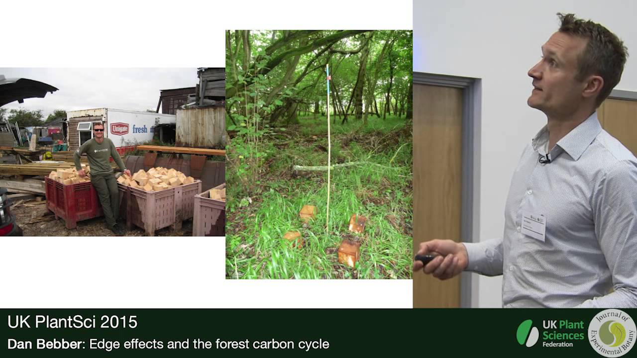Dan Bebber. Edge effects and the forest carbon cycle