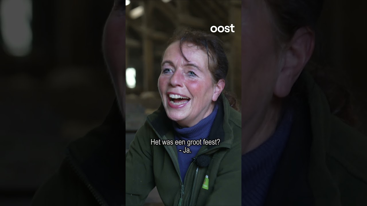 Geboortegolf: meer dan 230 lammetjes geboren op de Lemelerberg #rtvoost