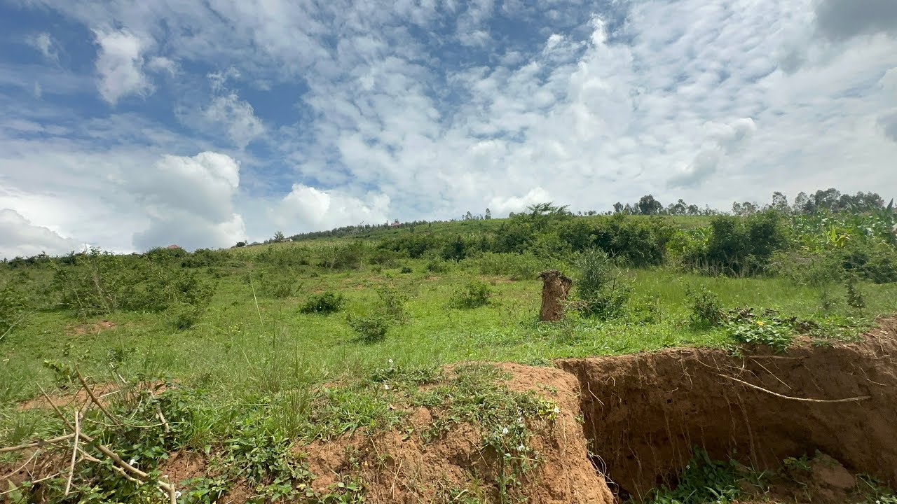 HUGE LAND FOR SALE UBUTAKA BININI BUGURISHWA 20 HECTARE KUGICIRO UTASANGA AHANDI 80M KURI HECTARE