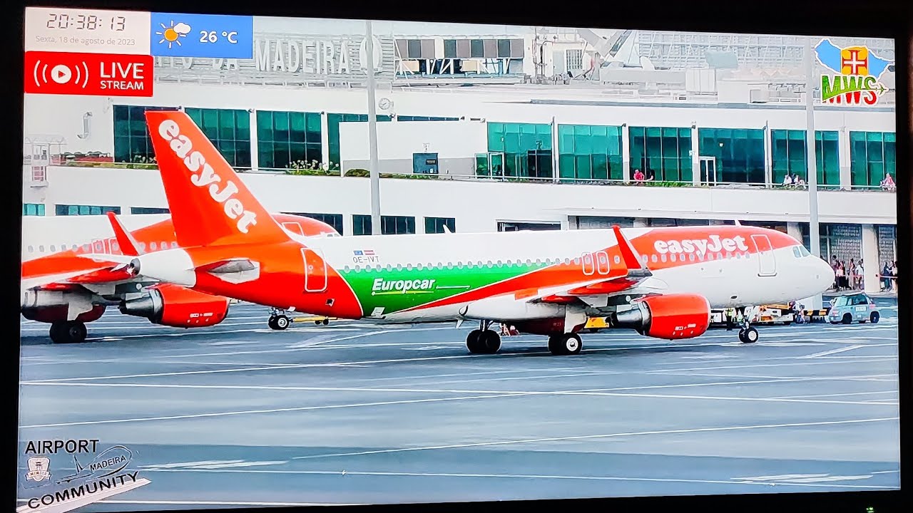 LIVE by Madeira Woman Spotter