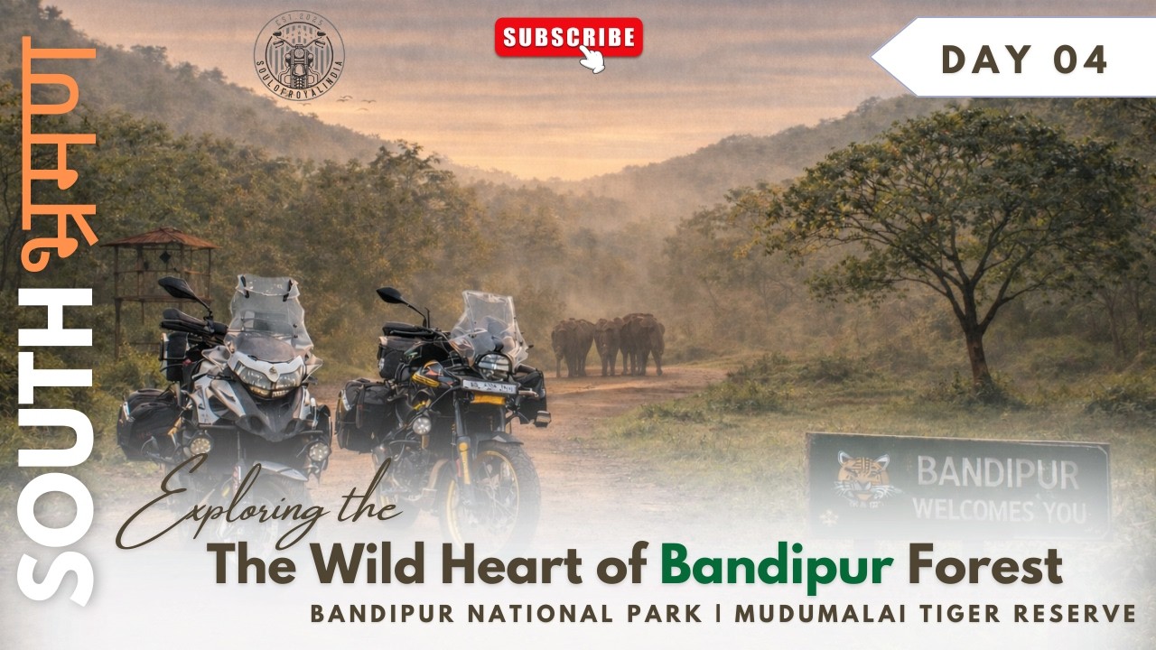 South भ्रमण 2025 🏍️✨: Day 4 – The Wild Heart of Bandipur National Park & Mudumalai Tiger Reserve