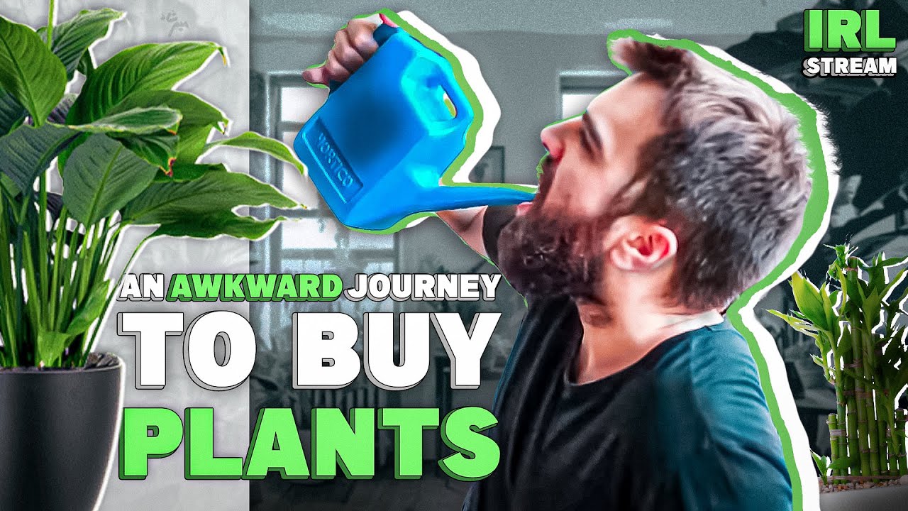 Do Plants Make You Happier or Just Broke?