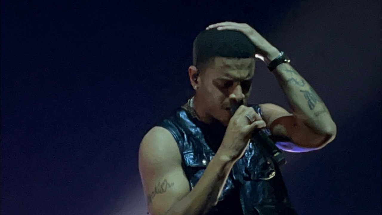 Novembre - Ashh en concert