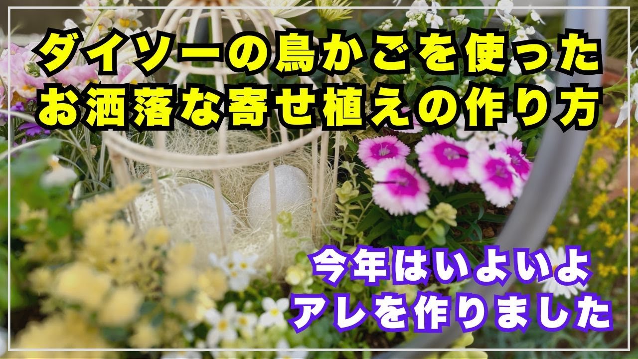 【ガーデニングを楽しもう！】誰かに見せたくなる寄せ植え作り編。ダイソーの鳥かごで可愛い寄せ植え作りましょう！
