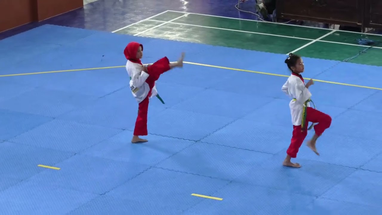 Sheyla Putri Bafadal