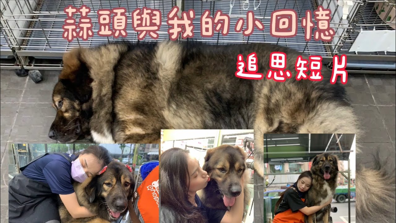 高加索蒜頭追思小短片/這天來的太突然/永遠愛祢的美容小姊姊