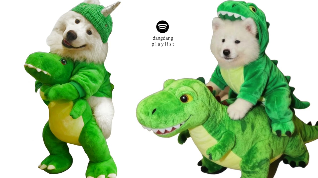 𝐏𝐥𝐚𝐲𝐥𝐢𝐬𝐭 공룡 멸종했다고? 거짓말하지마.