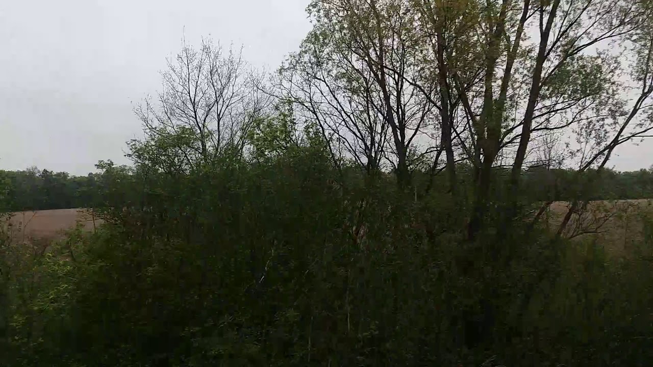 Jazda TLK Branicki - okolice Korsz + stukot k&oacute;ł.