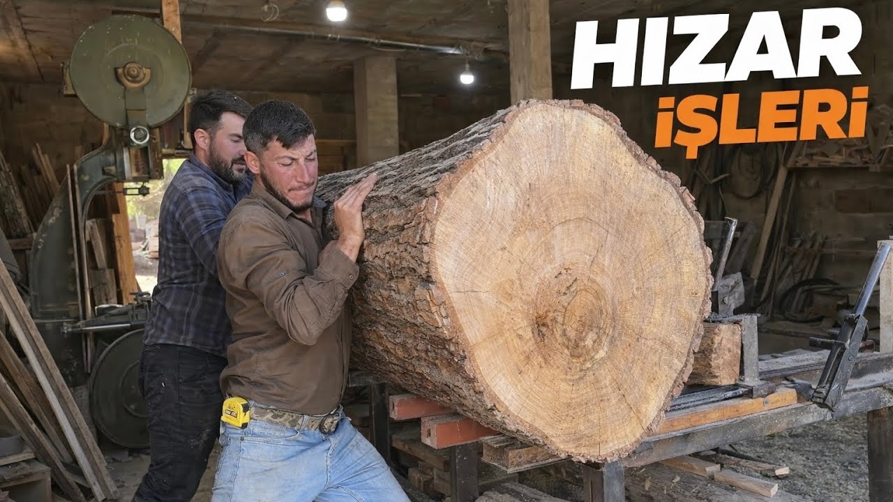 Ceviz Tomruğundan S&uuml;per Kereste &Ccedil;ıktı ! Ahşap İşleri