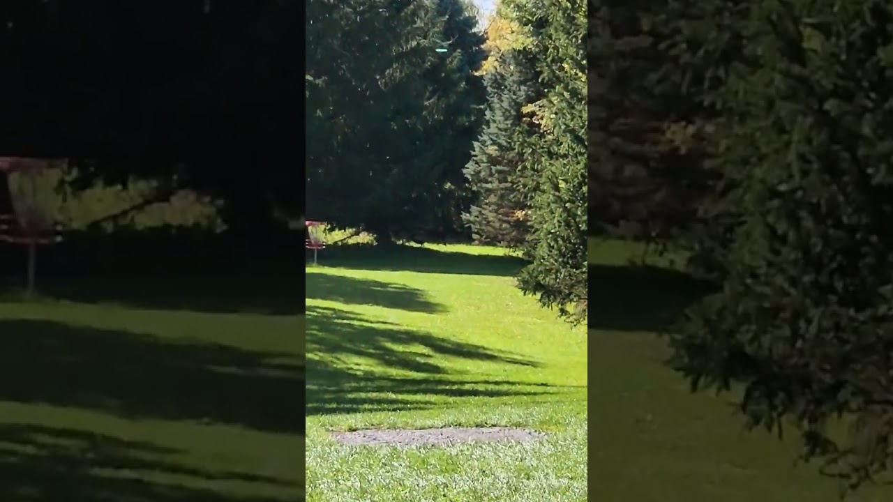 Ace Runs ONLY! | MVP Ohm 303ft #shorts #discgolf #frisbee #youtubeshorts #discgolfeveryday #viral