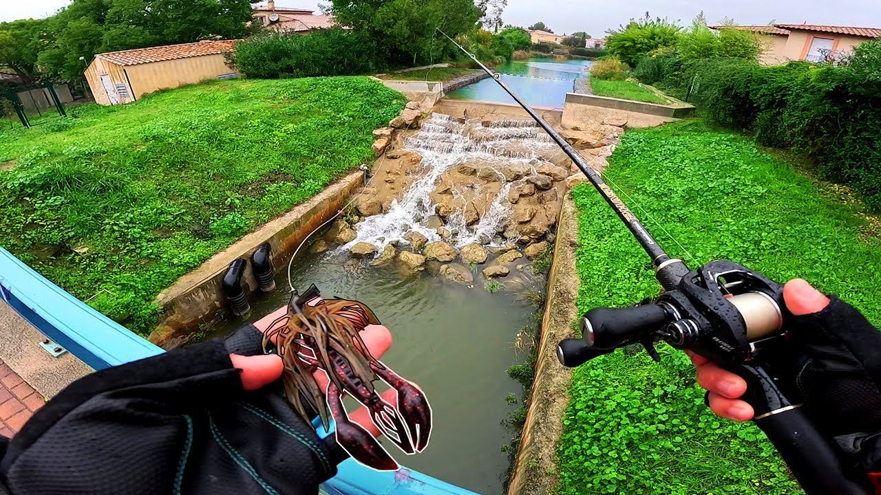 Je p&ecirc;che le plus Gros Poisson que je n&rsquo;ai jamais vu, dans un lieu Improbable ! Voyage &agrave; Mequinenza
