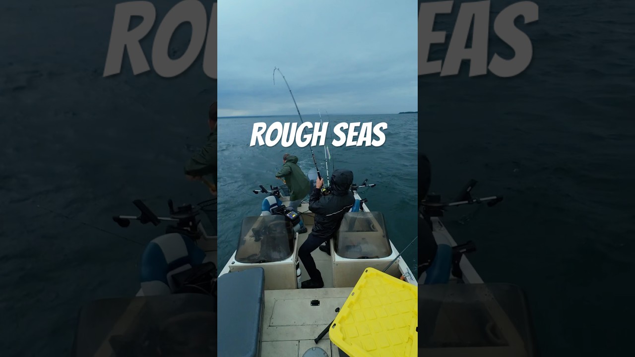 Lightning rods #fishing #laketrout