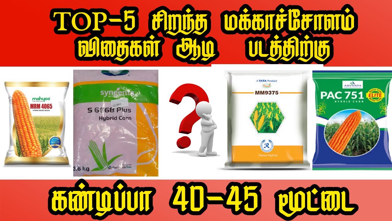TOP - 5  சிறந்த  மக்காச்சோளம் விதைகள் ஆடி  படத்திற்கு    |Maize Seed | Corn Seed | Gramathan