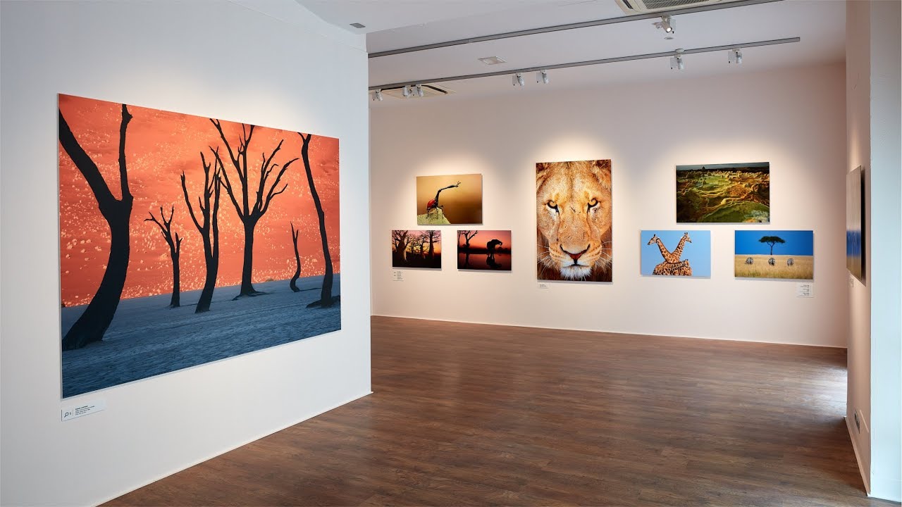Mostra 