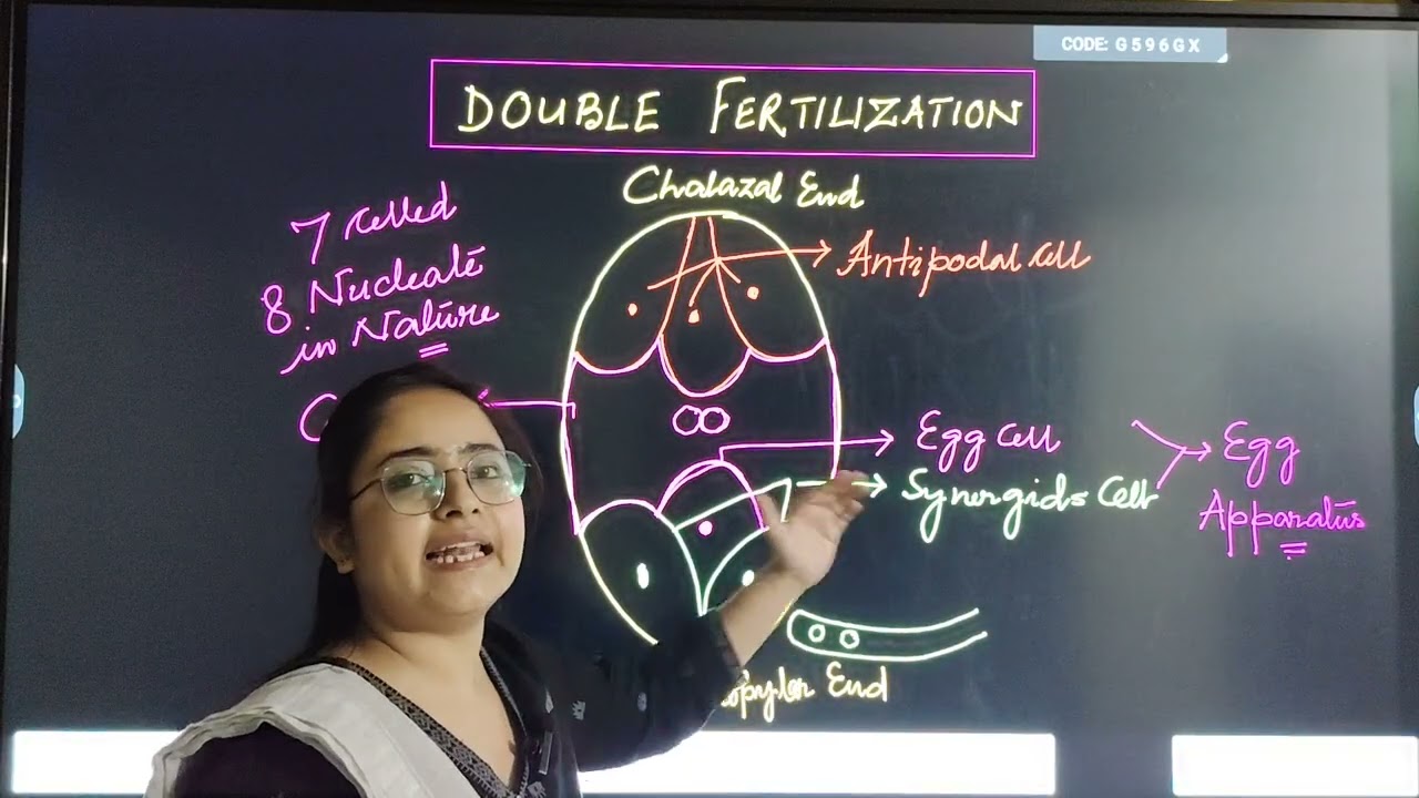 Double Fertilization_12 NEET