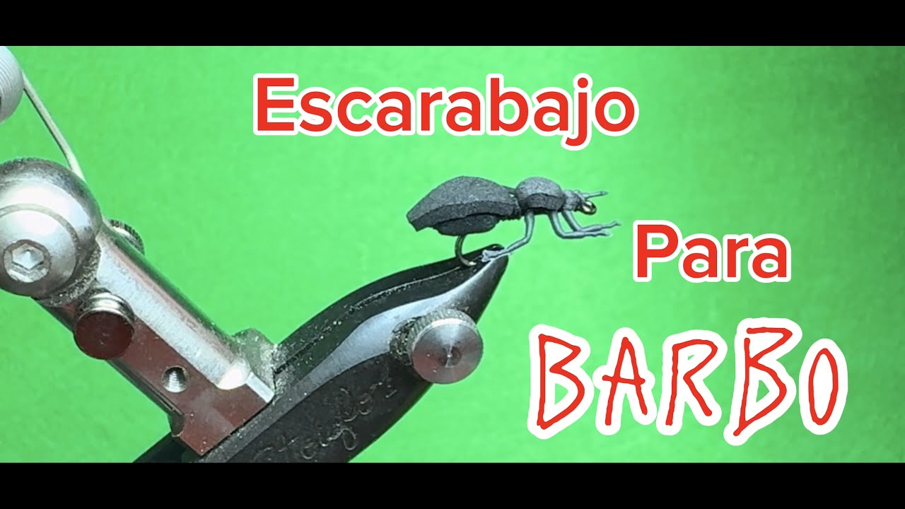 Pesca. Montaje Escarabajo para Barbo. #barbo #pescadeportiva #pesca #flytying