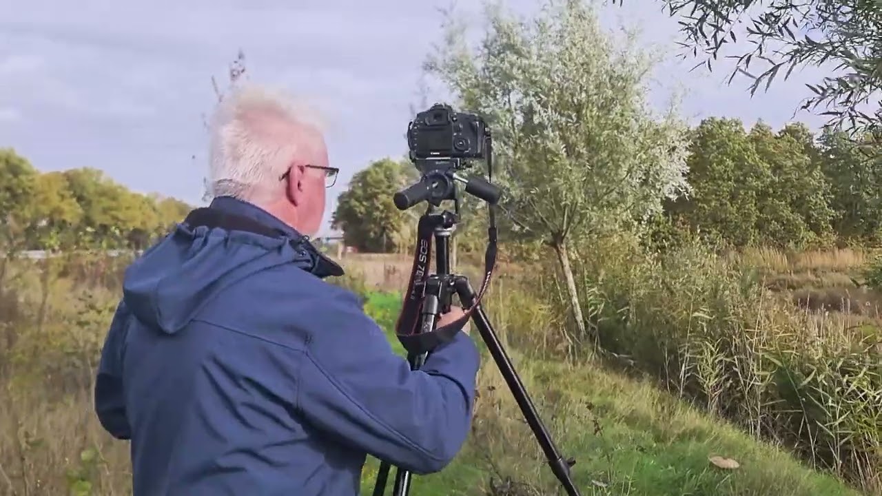 Van industriële waterzone tot ecologisch broedgebied: wat zijn de Broeklanden in Hardenberg?