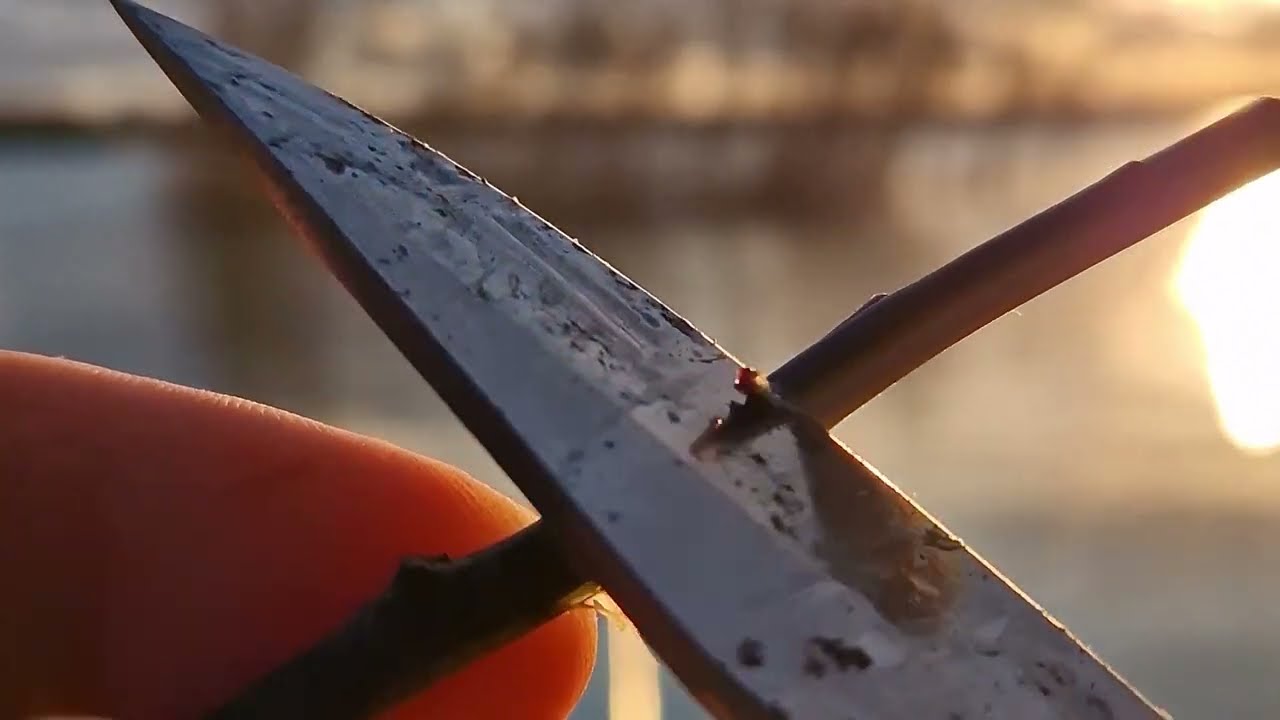 Plute de pescuit &ndash; făcute pe baltă