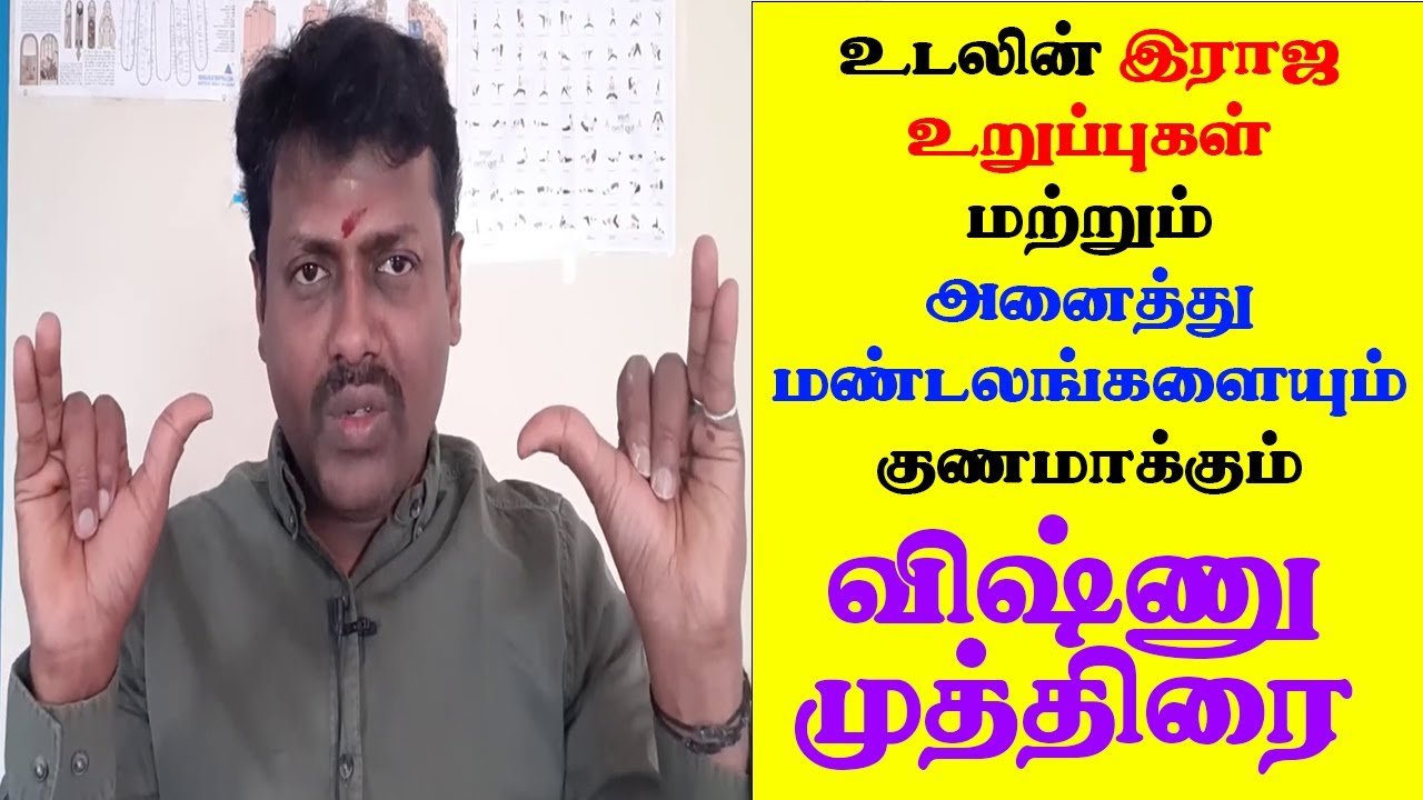 உடலின் ராஜ உறுப்புகளையும் அனைத்து மண்டலங்களையும் குணமாக்கும் விஷ்ணு முத்திரை | Yogam | யோகம்