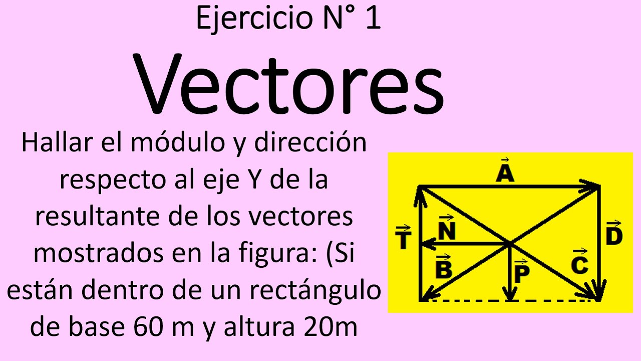 Vectores N ° 1 Física Universitaria