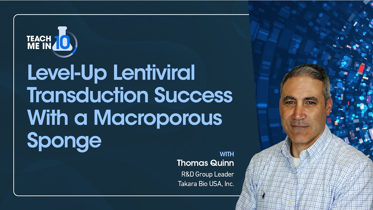 Level-Up Lentiviral Transduction Success With a Macroporous Sponge