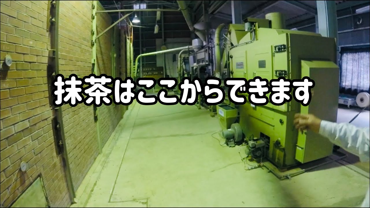 【日本茶】抹茶は畑でできる【茶工場】工場見学
