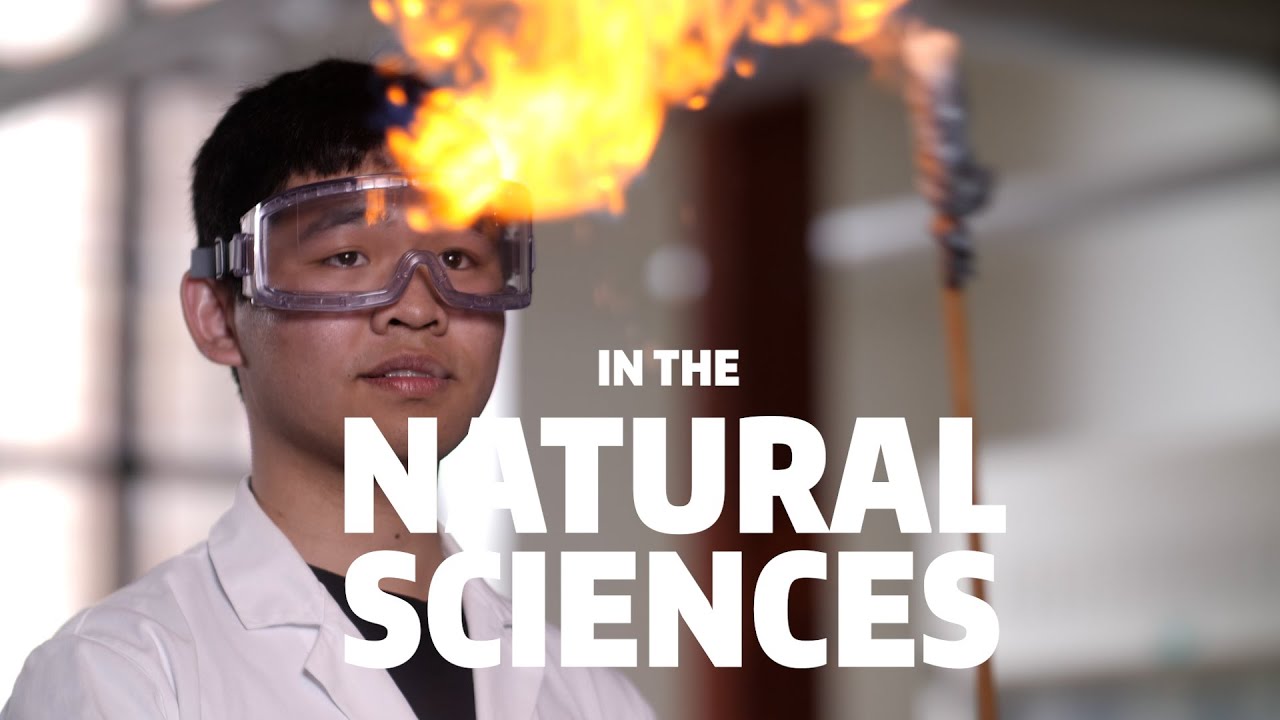 Natural Sciences Division | UW College of Arts & Sciences