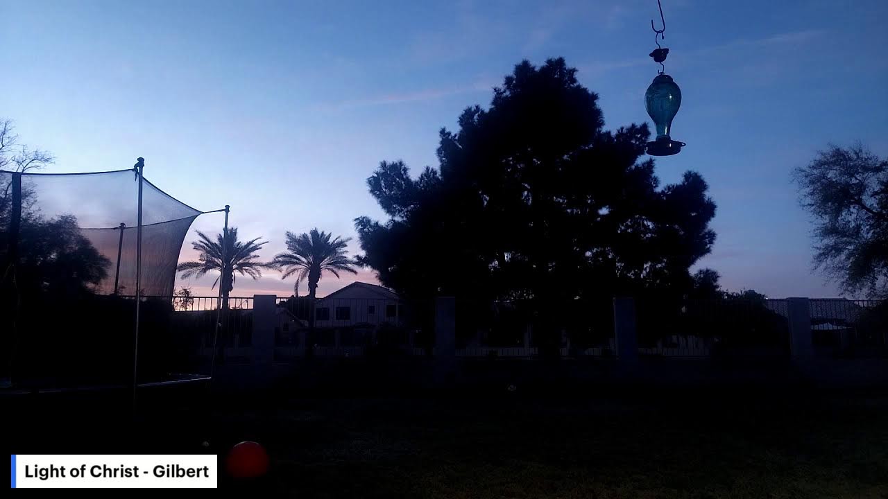 Morning Devotions 2/16/26: John 11, Psalm 27, Romans 15