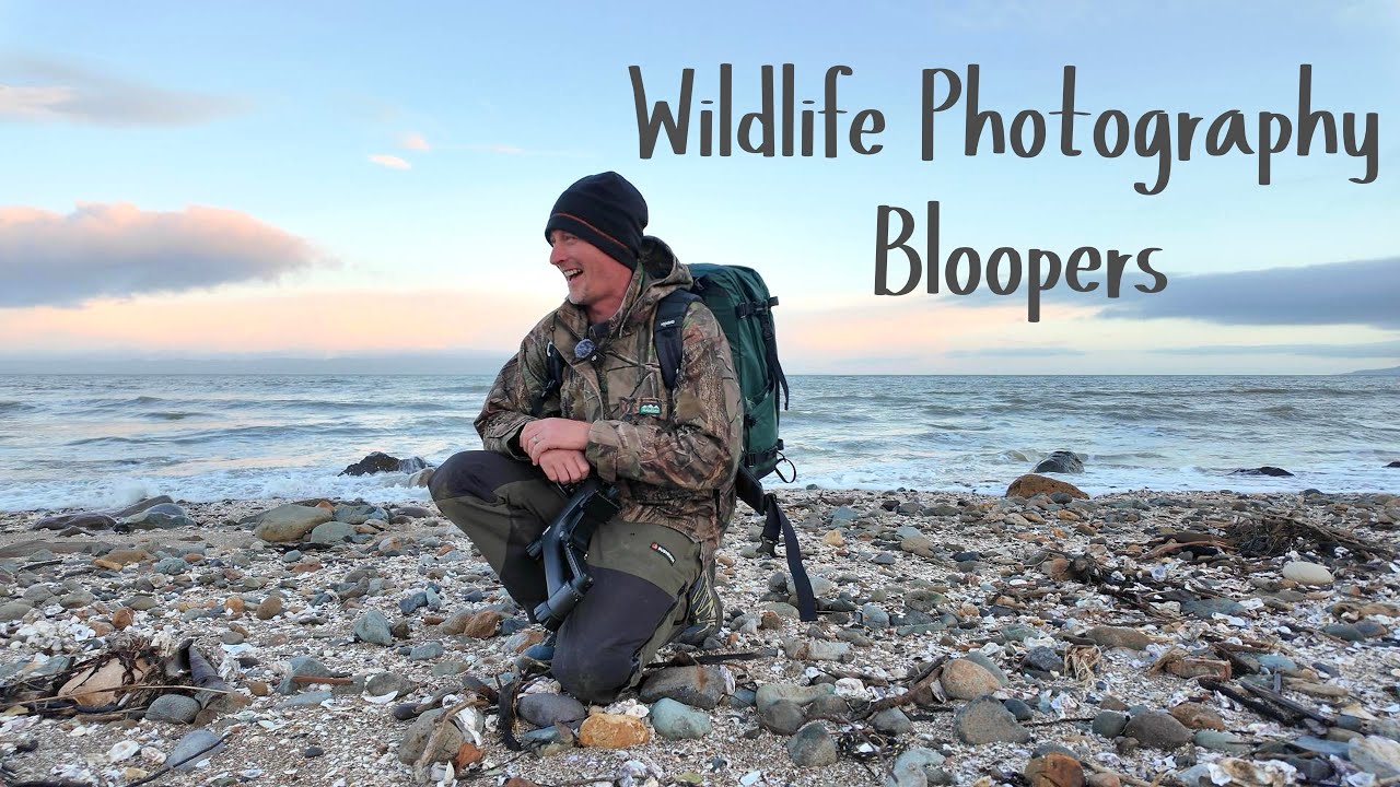 Birding Gone Slightly Wrong 🤣 #birdphotography 