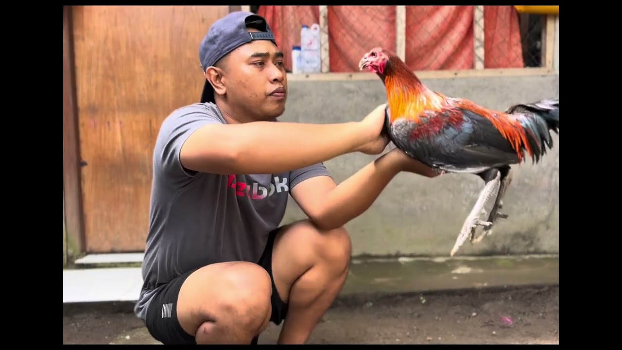 KEGiATAN DI HARI LIBUR BERSAMA 3 AYAM KESAYANGAN!