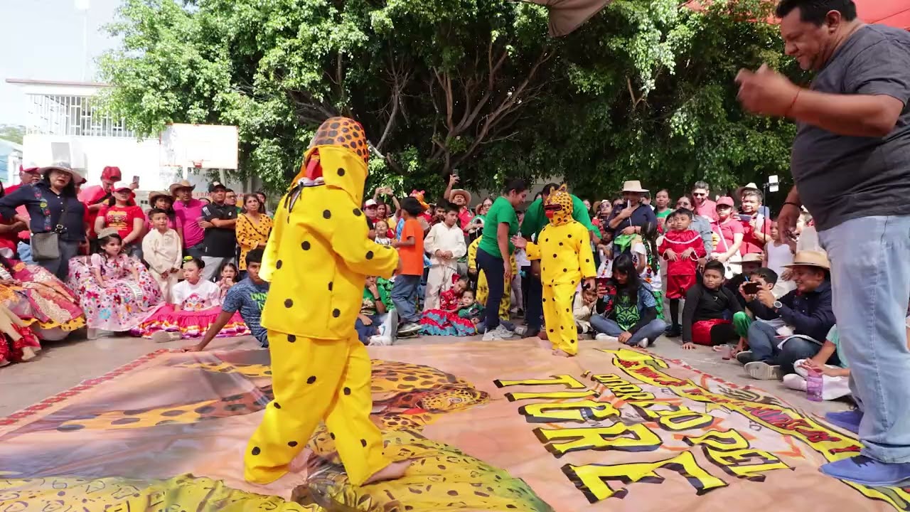 Porrazo del Tigre, Primaria Morelos Chilpancingo 11 Dic 2025