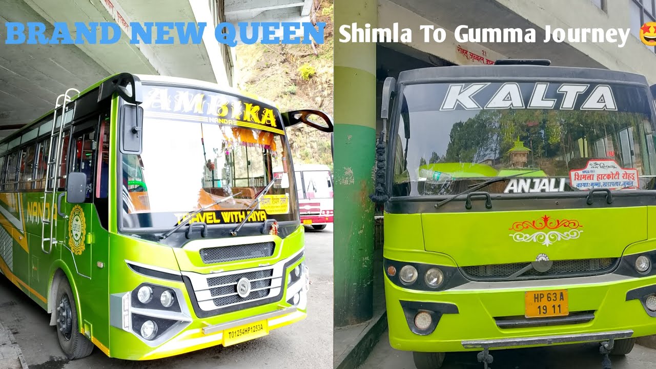 Brand New Queen 👑 l Essi Bus Phele kabhi nahi dakhi ll Kalta Bus Service ll Shimla to Gumma Journey