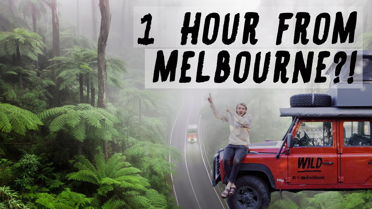 Exploring Australian Rainforest - Starting Our Lap of Australia