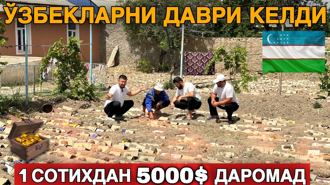 УЗБДА ЁР ОСТИДАГИ ХАЗИНА.1 СОТИХДАН 5000$ ДАРОМАД ҚИЛАДИГАН КОВРАК БИЗНЕСИ