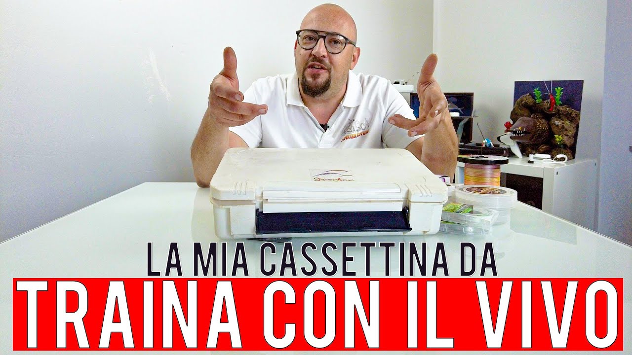 Traina con il vivo   cosa c'è nella cassettina di Stefano Adami