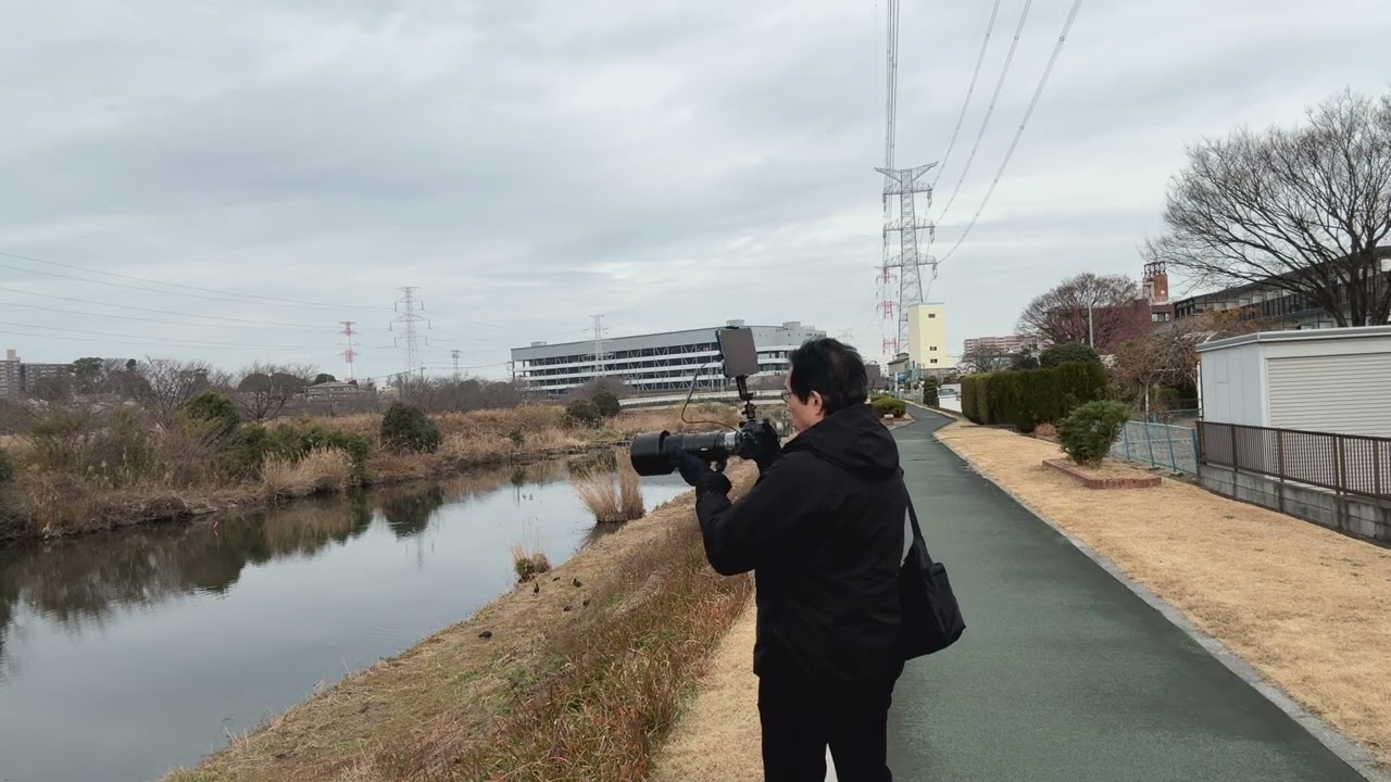 2025年12月20日トロトミンの野鳥撮影in大堀川 Z6III