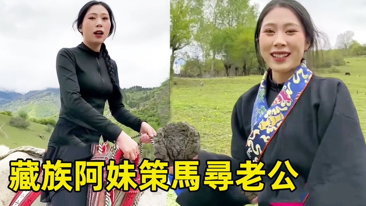 藏族阿妹策馬尋真愛！ 幾十頭牛羊當聘禮，招個好女婿這麼難嗎！ 【王一點】