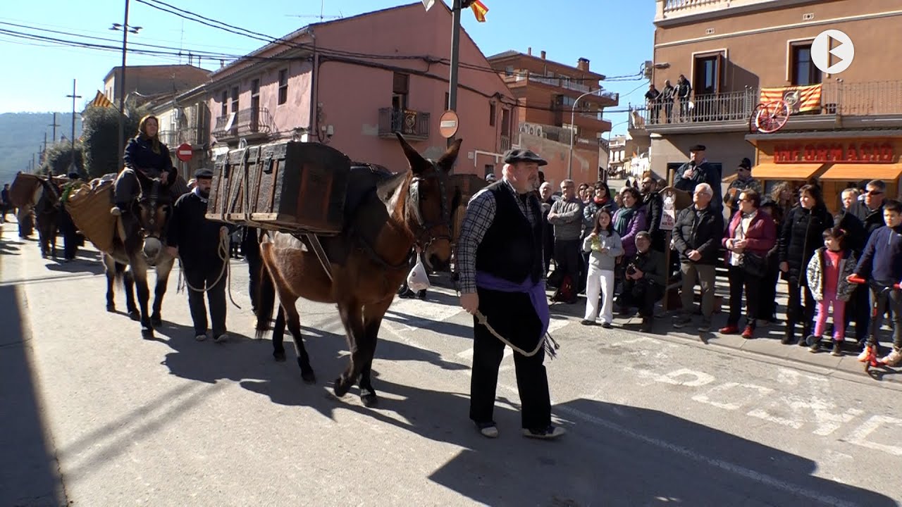 Balsareny, Festa dels Traginers diumenge
