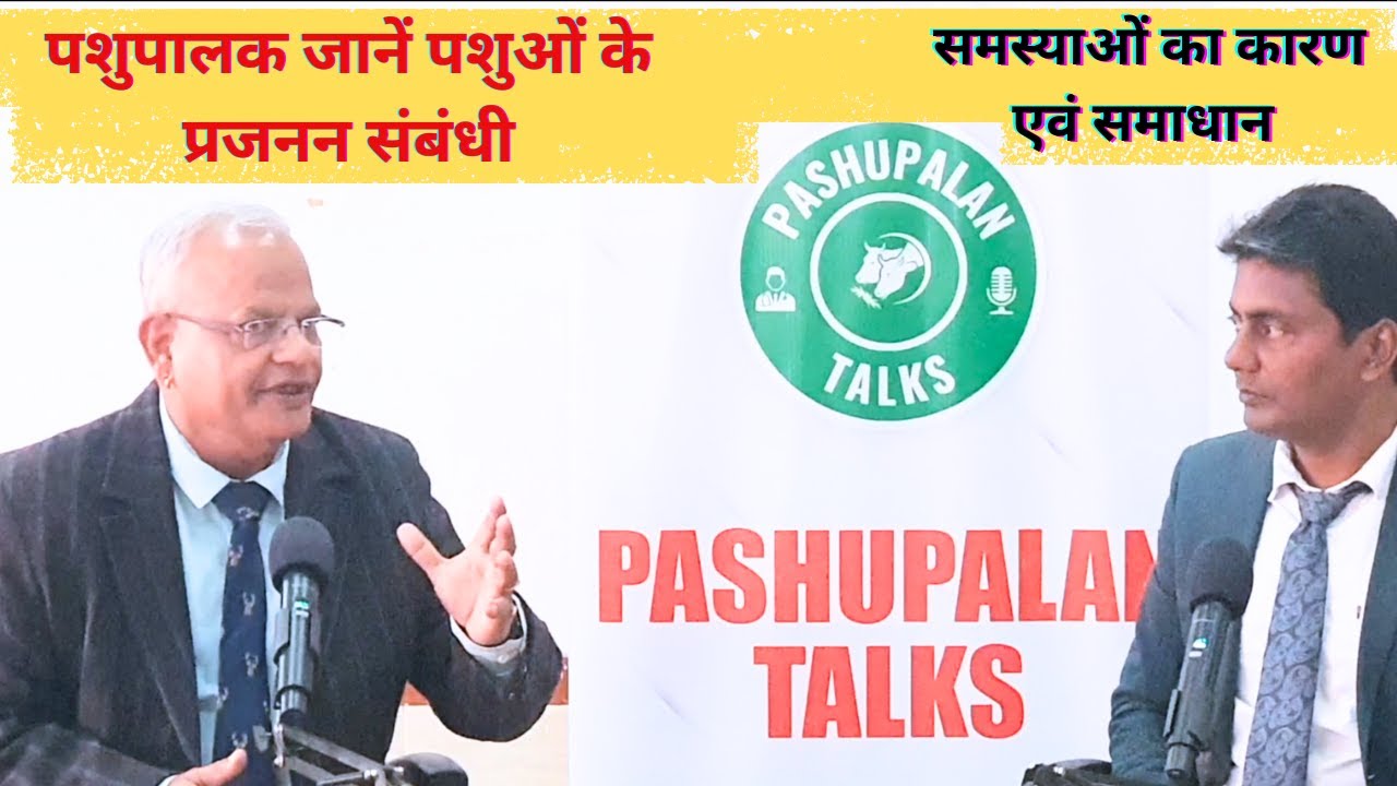 पशुओं में बांझपन, Repeat Breeding की समस्या पर एक - Complete Discussion  #cow #buffalo #animals