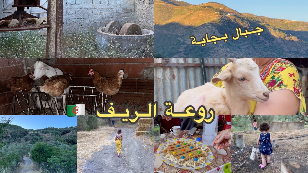 دارنا في ريف بجاية 🇩🇿♓️🇨🇦 فرحتي بدشرتنا الخلابة - اغزر اوبلوط  #canada #bejaia  #kabyle  #setif