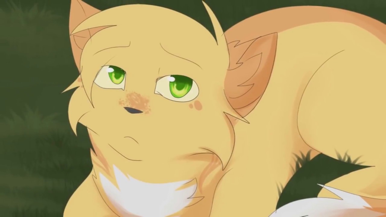 •Warriors cat• ~Rather Be
