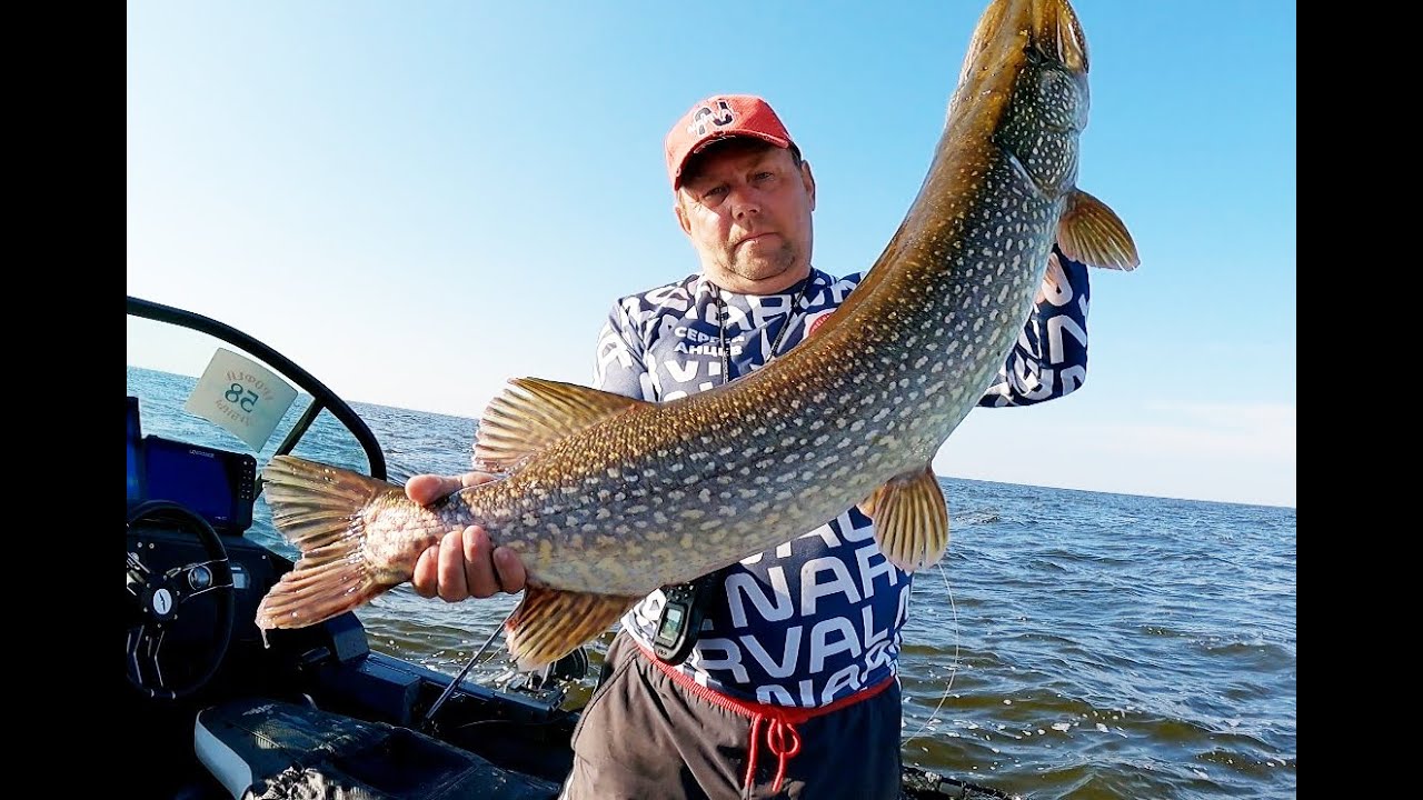 Рыбинское водохранилище . 