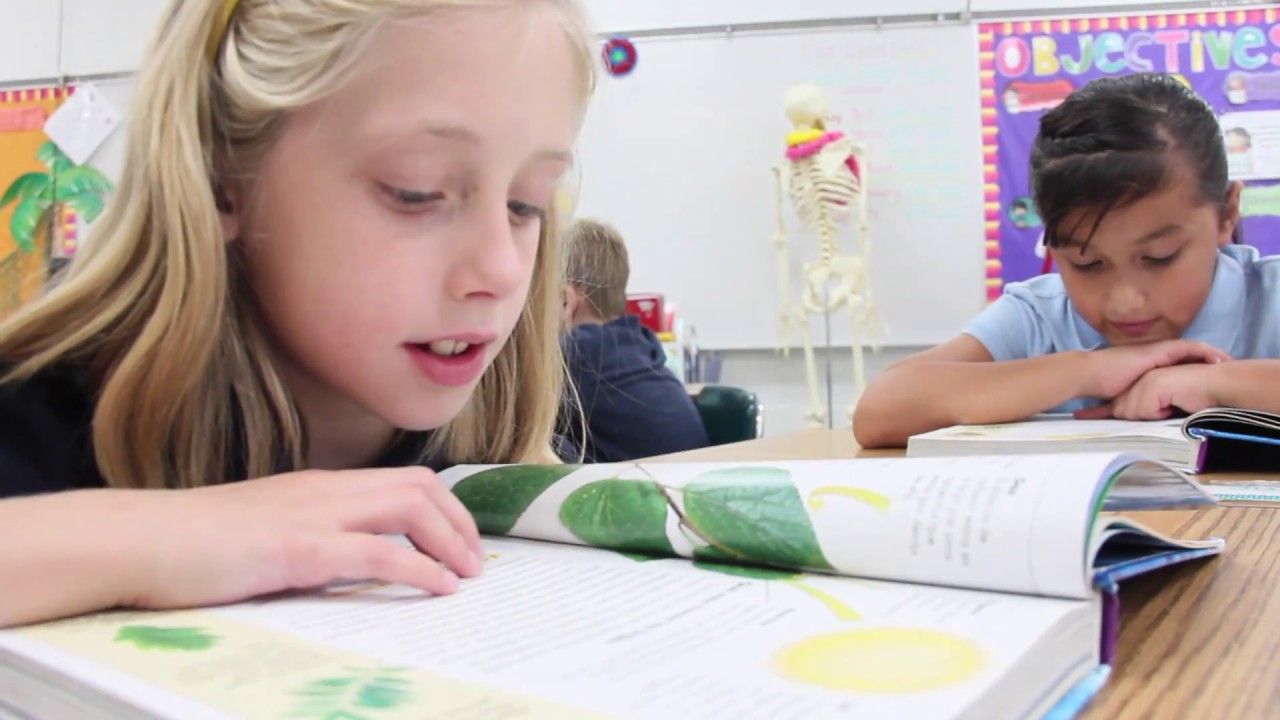 Two-Way Language Immersion at Barbour  RPS 205