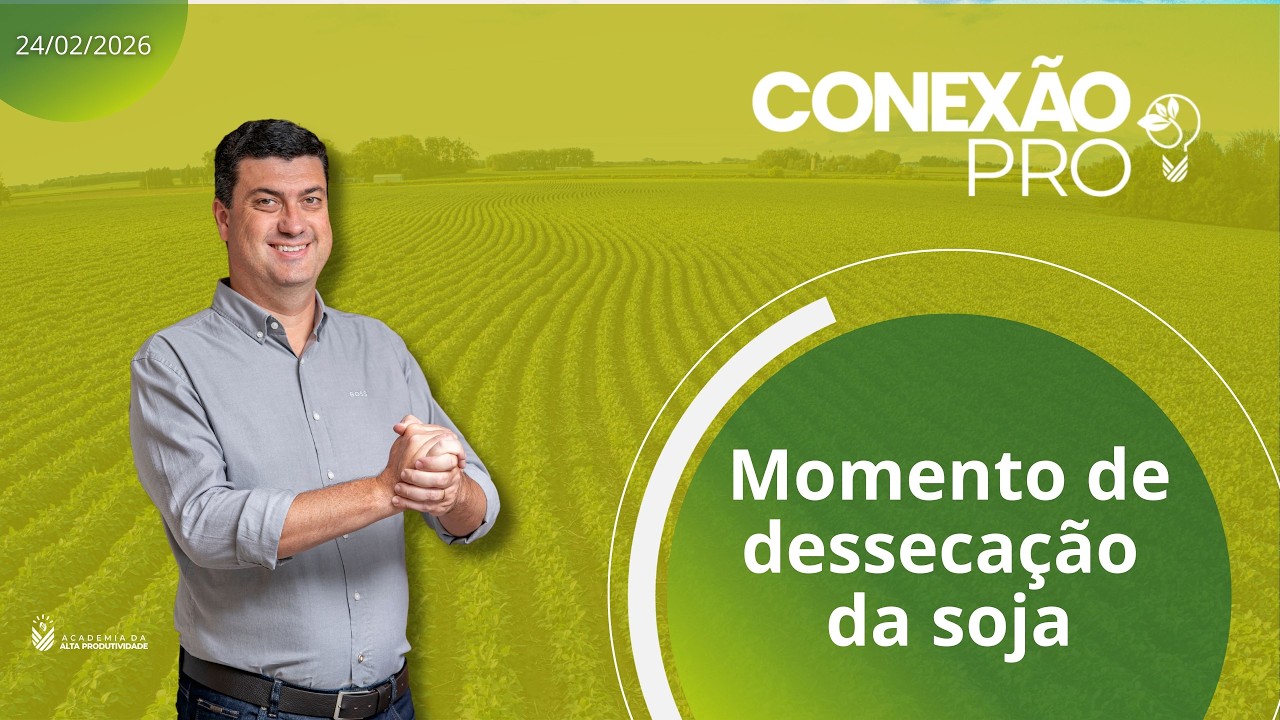 Conexão PRO 24/02/2026