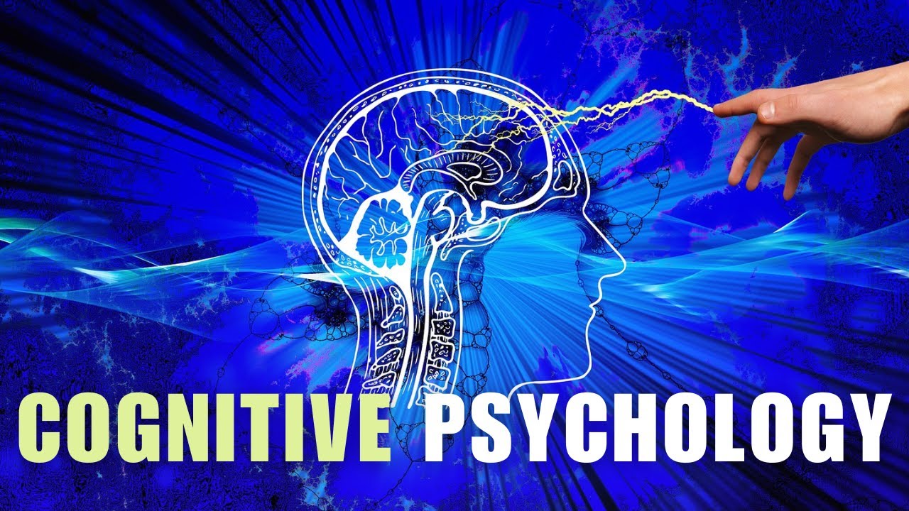 Cognitive Psychology Explained