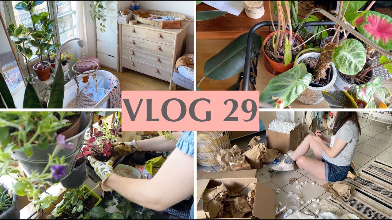 Plantes d'intérieur, Aménagement déco bébé, Recettes & Potager Urbain - VLOG 29